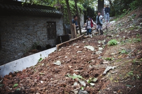 27日，天心区青山祠福王墓附近，小山坡被人开垦成梯田种菜。　　图/实习生蒋丽梅