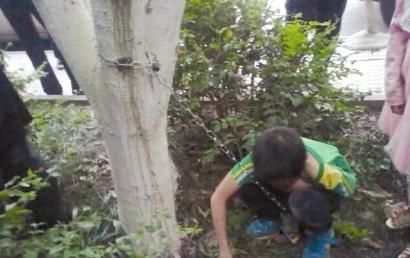 男孩被父亲用铁链锁在小区树上。（网友供图）