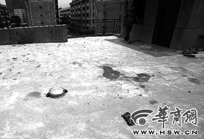 藏獒就养在这个楼顶，孩子从栏杆处坠落 本报记者 赵航 摄
