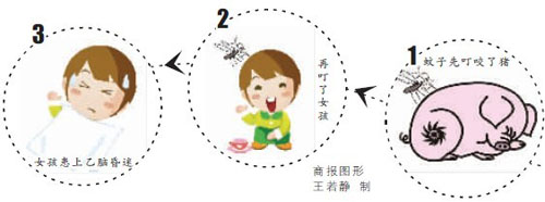5岁女孩遭蚊子叮咬82天昏迷不醒