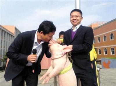 4月28日，湖北咸宁实验小学升旗仪式上，副校长洪耀明为了兑现承诺，当众亲吻猪。