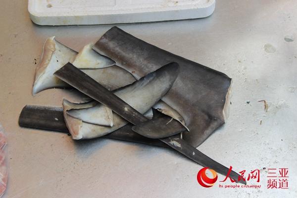 网曝三亚渔民宰杀白鲨 渔政部门已介入调查