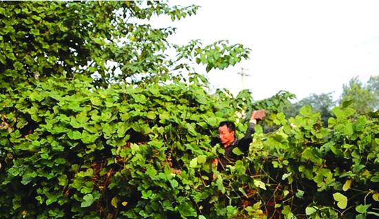 21日，益阳桃江县桃花江镇，嫌犯汤某拒捕,扔砖头砸向民警。