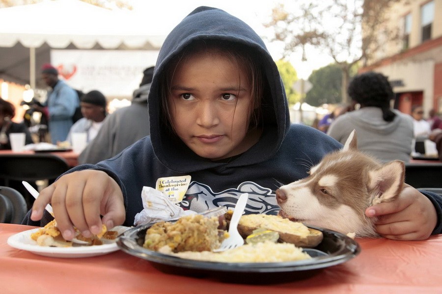 11月21日，加州洛杉矶的游民巷，12岁的堂娜·赫南德兹抱着爱犬“汤米”，安静地吃着免费的感恩节饭菜