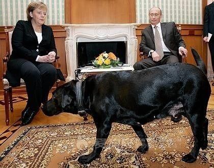 小布什称爱犬曾遭普京当面侮辱：这也能叫狗