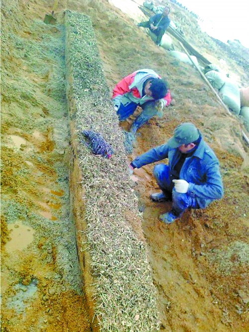 息县发掘第三艘数千年前独木舟