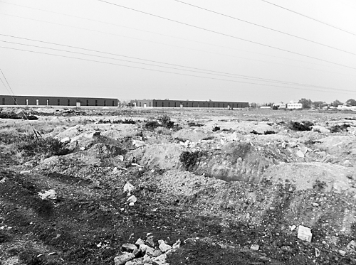 两年半时间里,空旷的院子里,只有北侧建成了两栋空空的厂房。 两年半时间里,空旷的院子里,只有北侧建成了两栋空空的厂房。