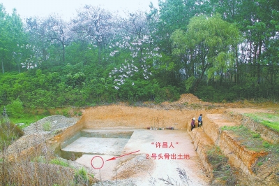 灵井镇“许昌人”遗址出土第二颗古人类头骨化石