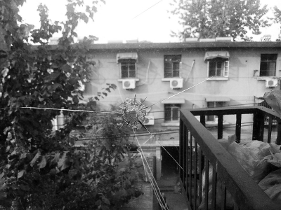 厨房玻璃上有钢珠打出的小洞