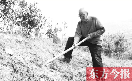 南阳七旬老翁不爱遛鸟爱种树 拿百万积蓄绿化千亩荒山