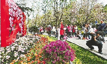 市民纷纷将镜头对准花丛。