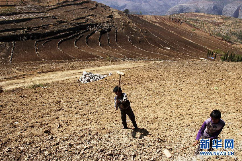 3月16日，在贵州省毕节市威宁县斗古乡中关村，两个孩子帮助家人在干旱的土地上劳动。