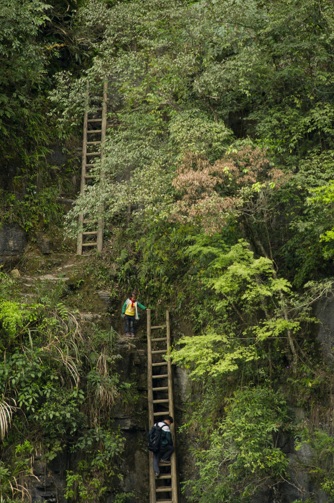 湖南一山村儿童每天需攀爬垂直天梯上学(图)