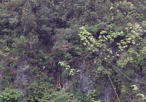 湖南一山村儿童每天需攀爬垂直天梯上学(图)