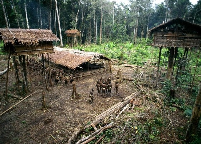 揭秘原始部落“树屋人”