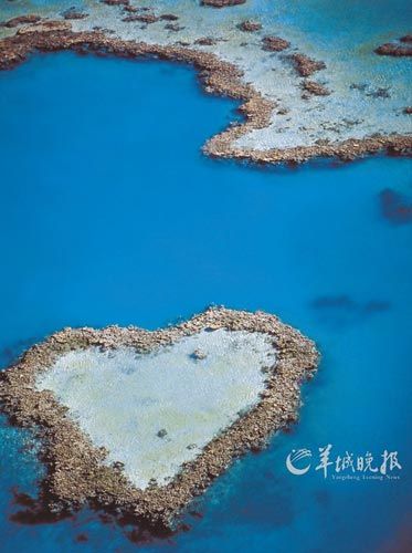 大堡礁的心型礁石(昆士兰旅游局供图)
