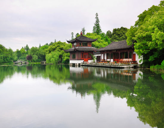 曲院风荷 摄影：杭居易