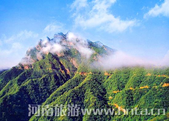 教师节优惠来袭 免费游洛阳白云山景区