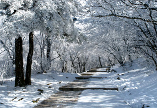 黄山景区冬季特色优惠相约黄山之巅看雪