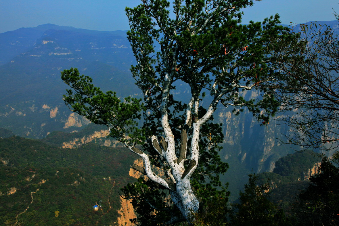 春天了 趁女人节的大优惠去旅游