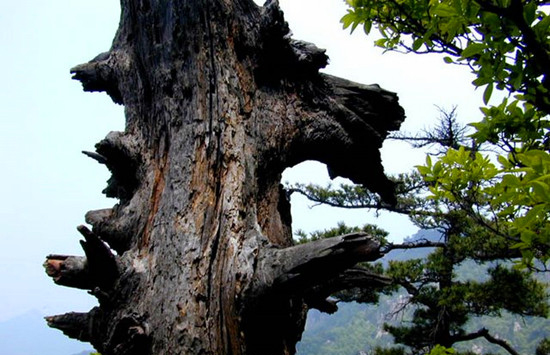 阳春三月 河南登山好去处