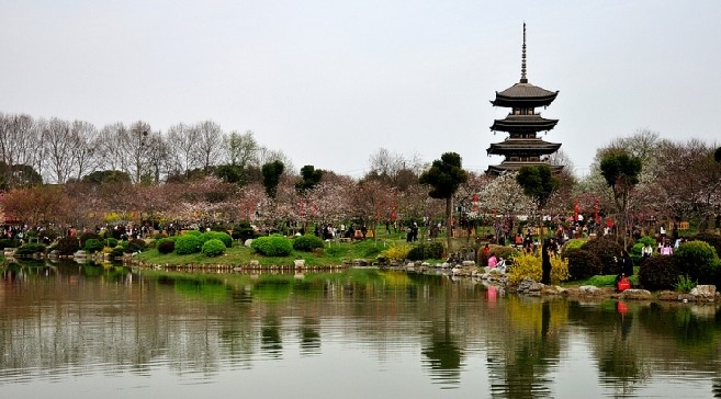 我和鲜花的约会 三月旅游赏花大攻略