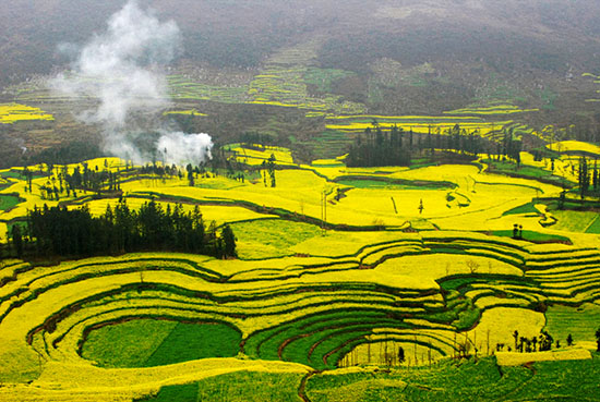 我和鲜花的约会 三月旅游赏花大攻略