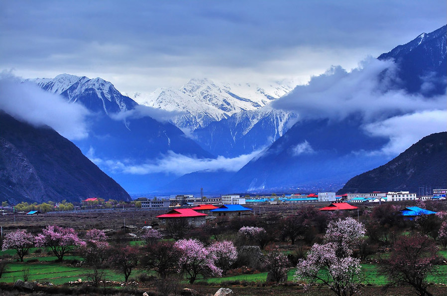 我和鲜花的约会 三月旅游赏花大攻略