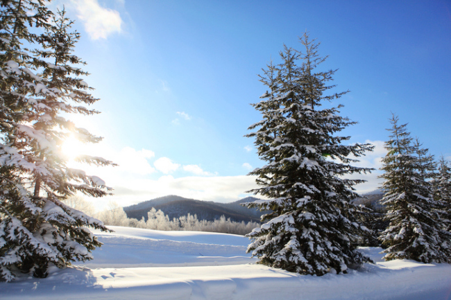 北海道的粉雪诱惑