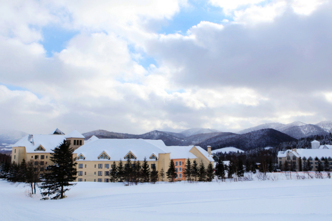 北海道的粉雪诱惑