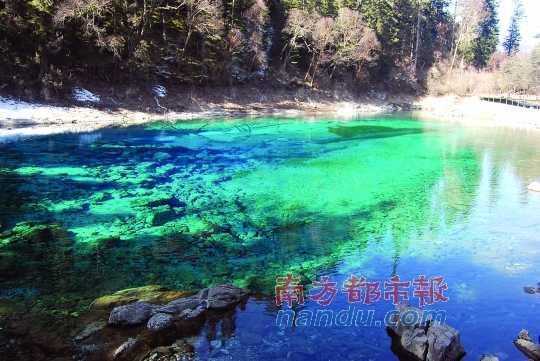　　池水　