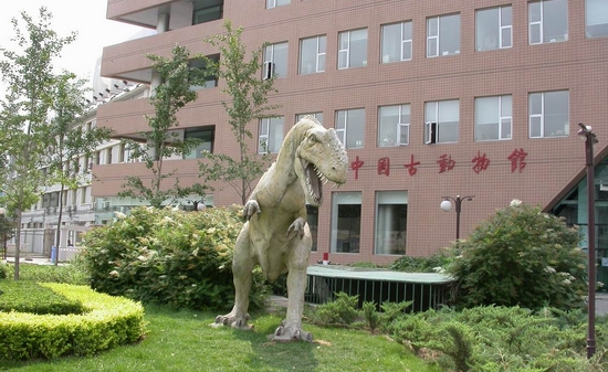 中国古动物馆里寻找记忆中的“黄河象”