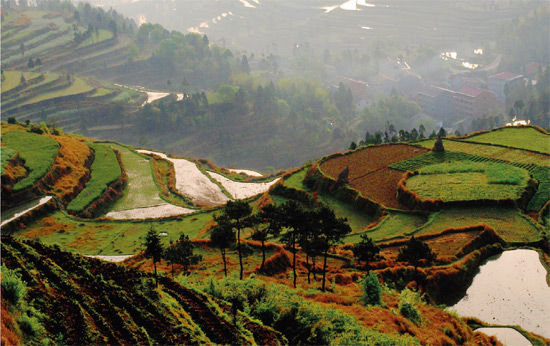 　　茗岙的盘山公路