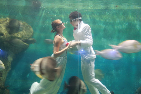 　　帕劳海底婚礼