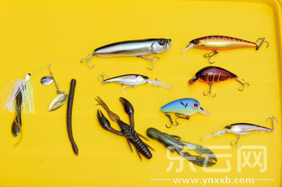 　　又称拟饵钓鱼,起源于欧洲,国内翻译为“路亚”。