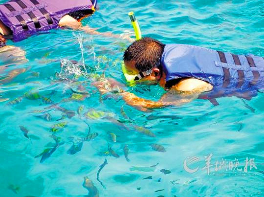 [旅游贴士]浮潜危险多马虎招意外 附加配备保安全