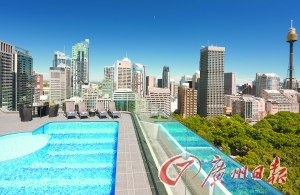 酒店屋顶游泳池俯瞰公园美景。