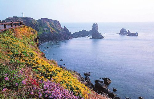 花多眼乱遍成海