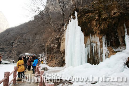 三八节 云台山 优惠旅游