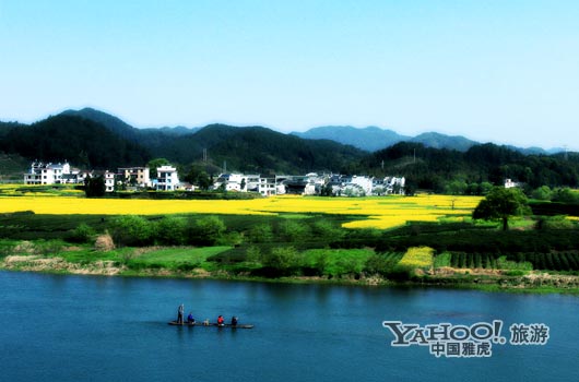 　　婺源号称是中国最美丽的乡村,她最美丽的季节是三月中下旬。(图片来源:CFP)
