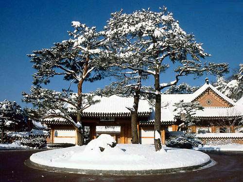 韩国冬季旅游的八大备忘