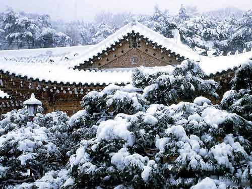 韩国冬季旅游的八大备忘