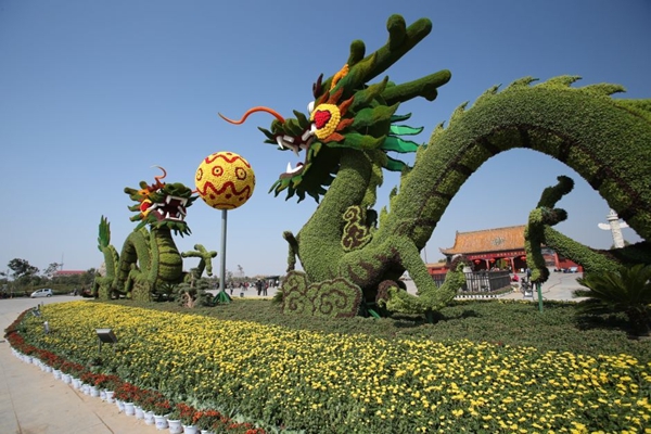中国开封第31届菊花文化节将延长至11月25日
