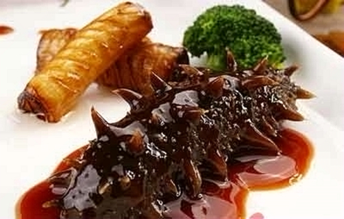 每天一道海参菜 秋季滋补给身体充电