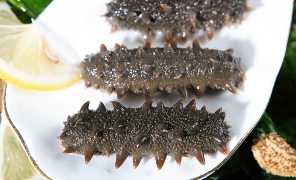 秋补系列 难忘“参”入好滋味