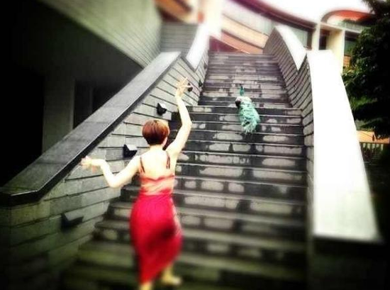 孙俪跳孔雀舞吓走孔雀 网友笑称