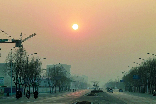 昨日天空放晴，虽然天还不是那么蓝，但也给大家带来好心情。