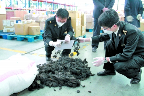 这批“废人发”是在郑州机场海关被查获的