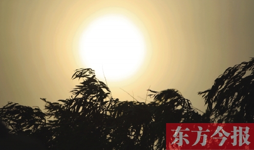五月十四日，傍晚时分，郑州的天空再次被沙尘遮盖