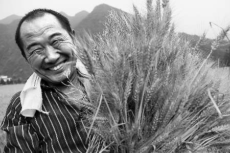 5月26日，西峡县双龙镇小水村农民怀抱籽大粒饱的小麦喜笑颜开。